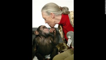 Jane Goodall Fast Facts