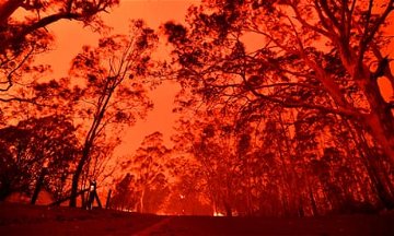 More than 2,400 lives will be lost to bushfires in Australia over a decade, experts predict