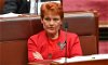 Pauline Hanson branded ‘absolute scumbag’ during heated parliamentary debate over tweet