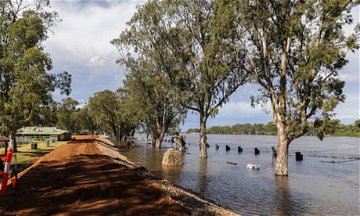 River Murray fish kill concerns grow as flood waters peak in South Australia