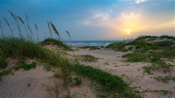 Surprising South Padre Island, Texas: A Nature Lover's Perfect Paradise