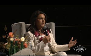 WATCH: Tulsi Gabbard Torches Kamala Harris For Accepting Cheney Endorsement: 'It Sickened Me'