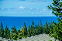 Book Lahaina Accommodation Vacations Internet Find Internet Find
