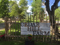 Cedar Hill Farm B  B