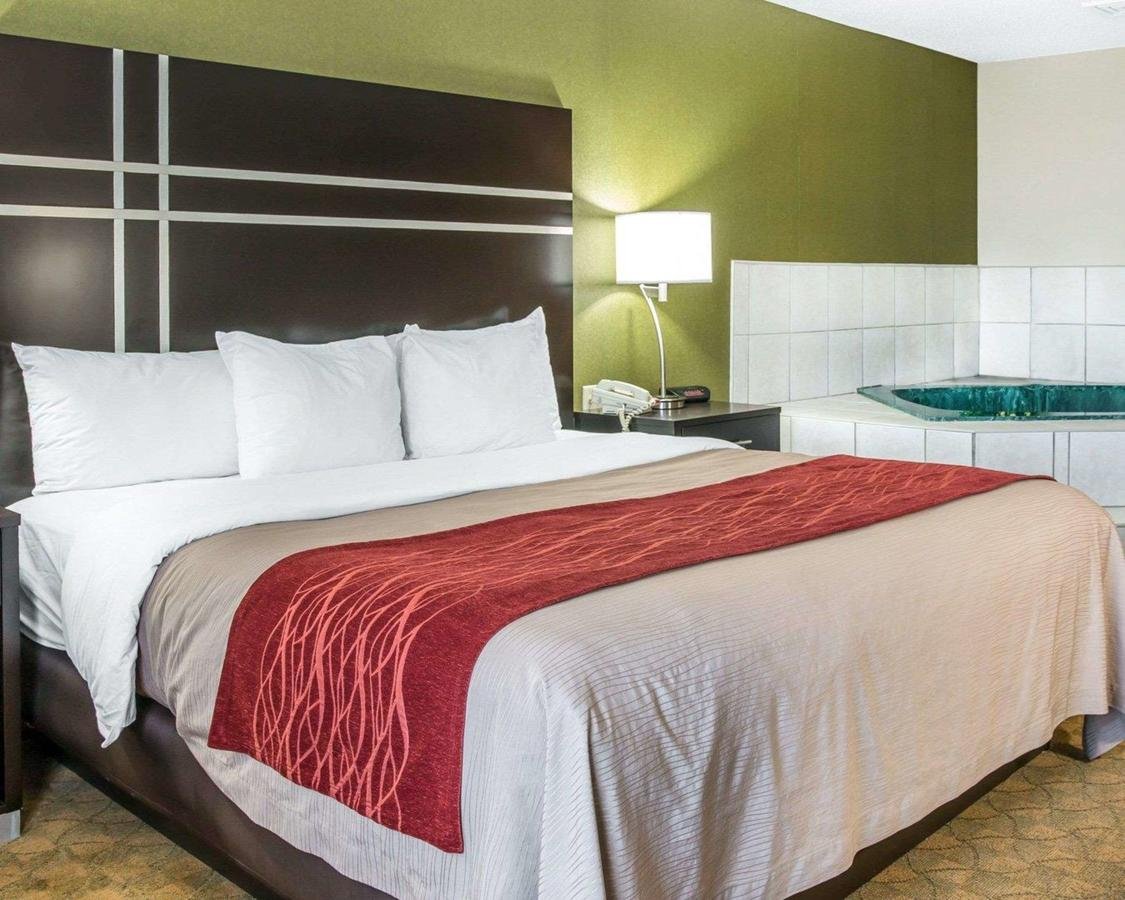 Comfort Inn & Suites Maumee - Toledo - I80-90 - Accommodation Los Angeles 20