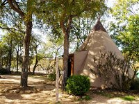 5 Yellow Flower - Tipis on the Guadalupe