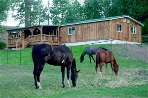 'Townsend Ranch Bunkhouse' On Working Ranch!