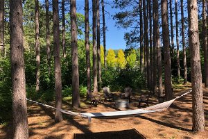 Red Pine Retreat