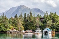 Book Halibut Cove Accommodation Vacations DBD DBD