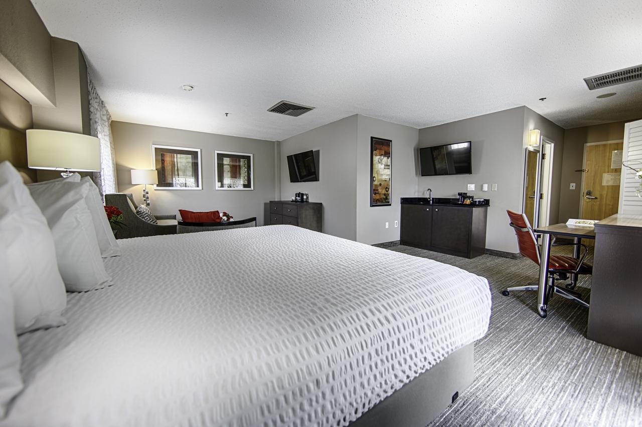 Hotel Capstone - Accommodation Florida