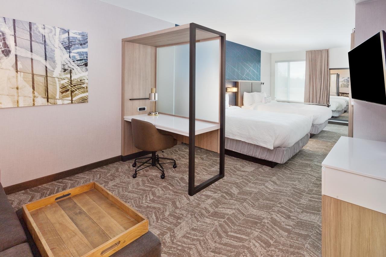 SpringHill Suites By Marriott Montgomery Prattville/Millbrook - Accommodation Dallas 6