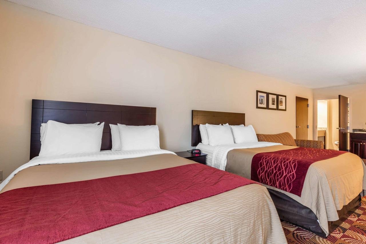 Comfort Inn & Suites Jasper Hwy 78 West - thumb 25