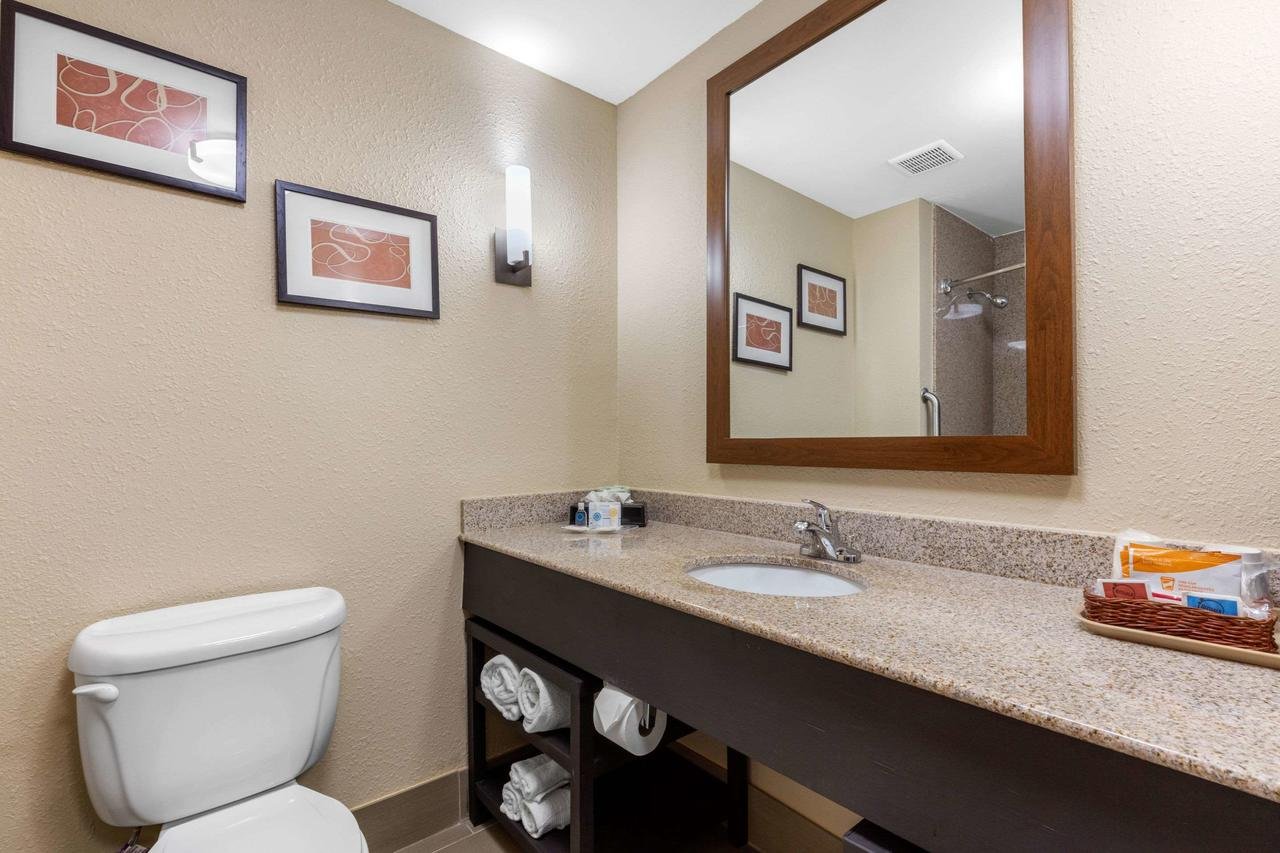 Comfort Suites Pelham Hoover I-65 - Accommodation Texas 19