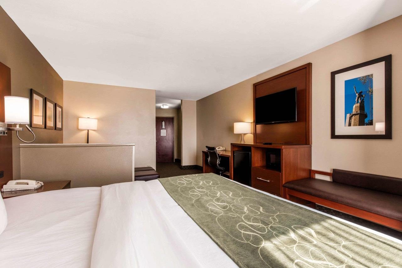 Comfort Suites Tuscaloosa Near University - Accommodation Dallas