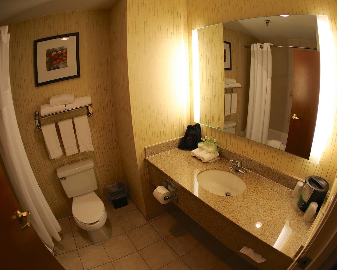 Holiday Inn Express Hotel & Suites Auburn - University Area - thumb 4