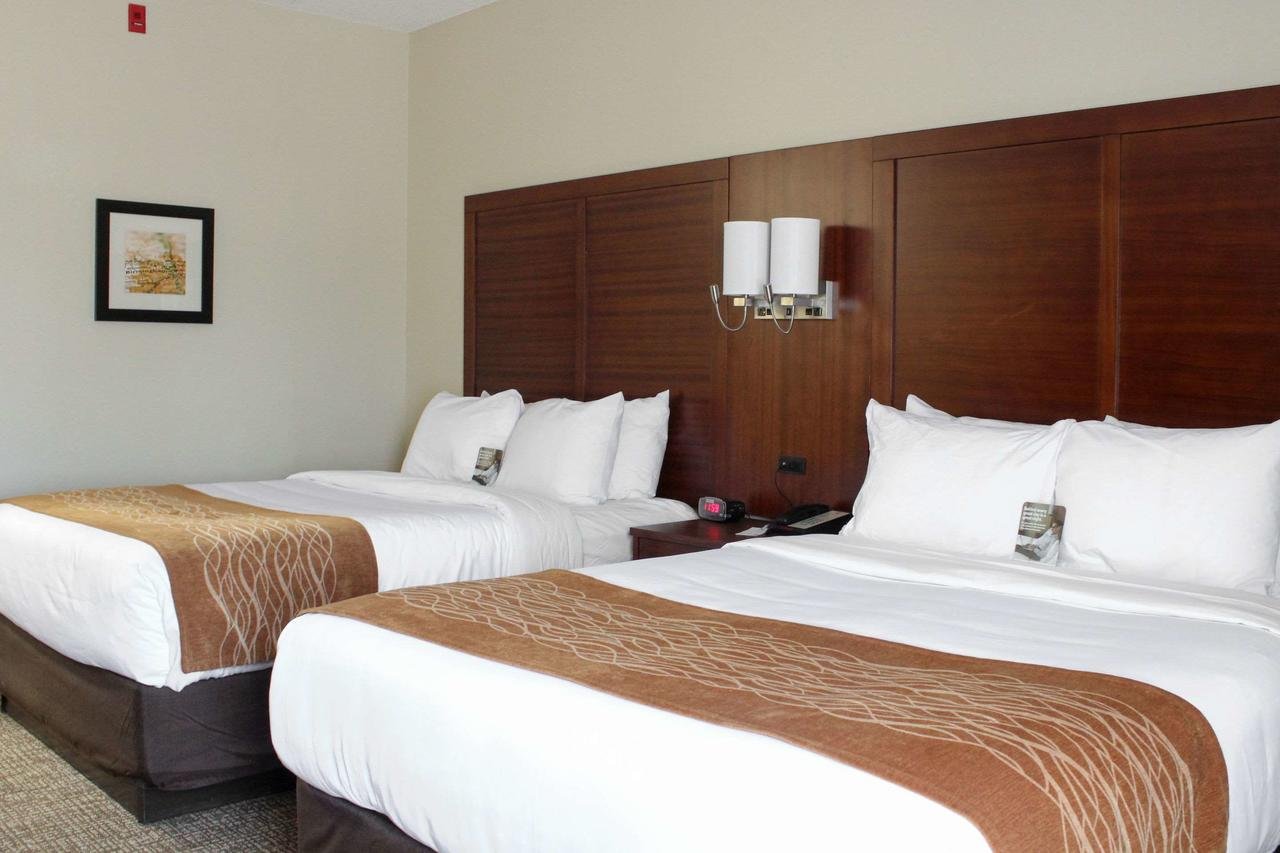 Comfort Inn & Suites - Accommodation Dallas