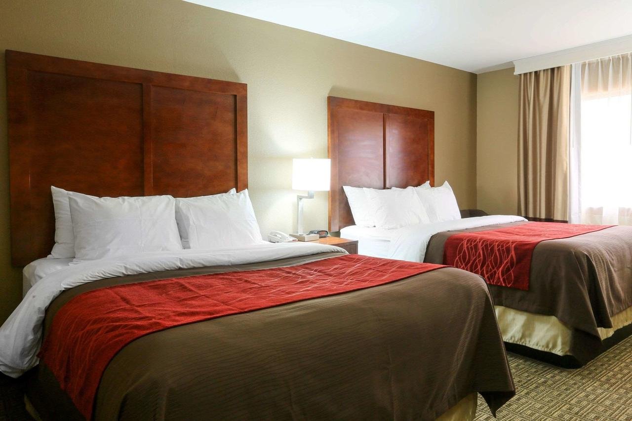 Comfort Inn & Suites Leeds I-20 - Accommodation Florida