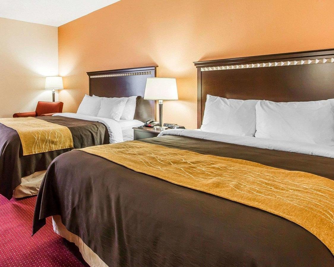 Comfort Inn & Suites Lincoln Talladega I-20 - Accommodation Dallas