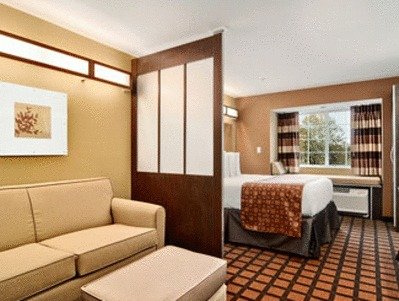 Microtel Inn & Suites By Wyndham Ozark - Accommodation Texas 25