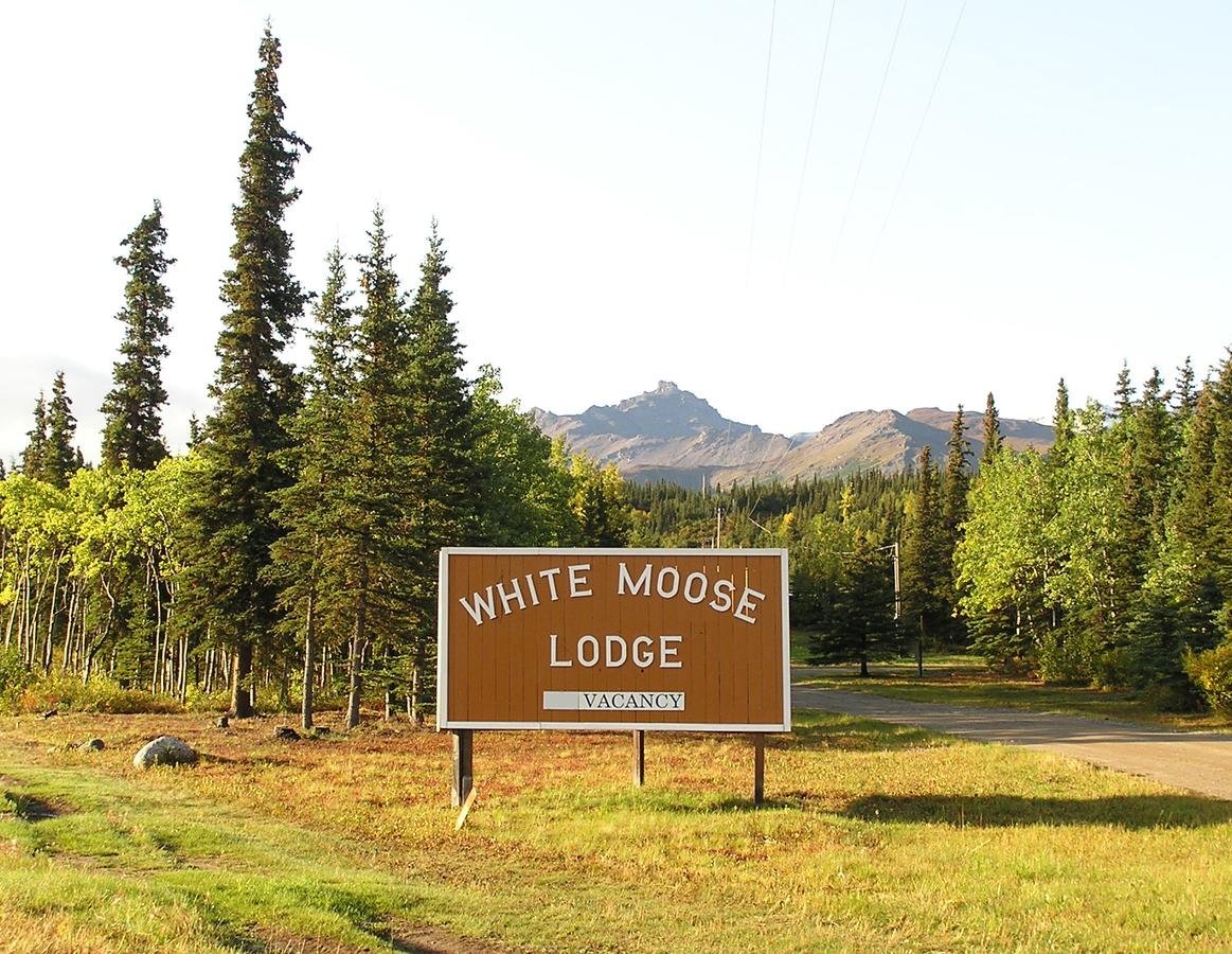 White Moose Lodge - Accommodation Florida