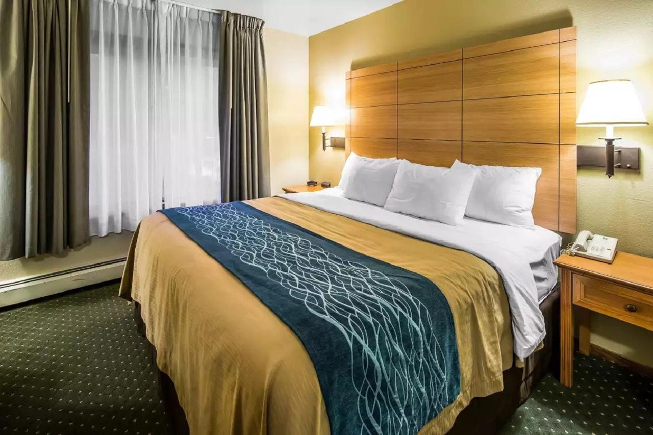 Quality Inn - Accommodation Dallas