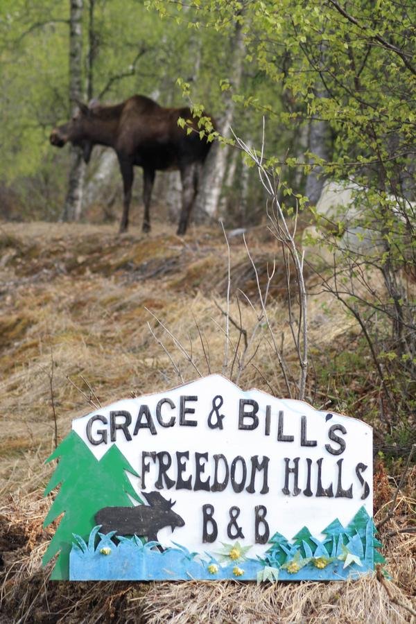 Grace And Bill's Freedom Hills B&B - thumb 25