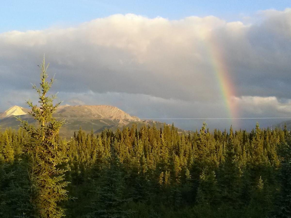 Alaskan Spruce Cabins - thumb 3