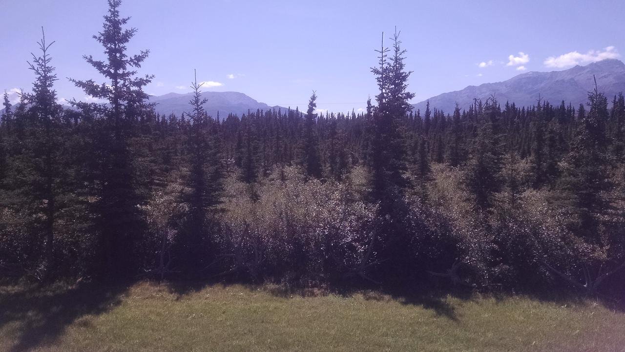 Alaskan Spruce Cabins - thumb 24