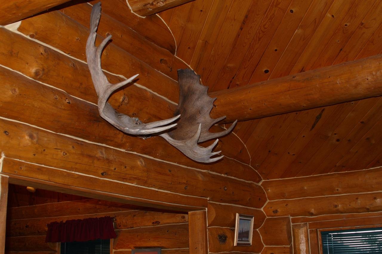 Moose Cabin - Accommodation Dallas 13