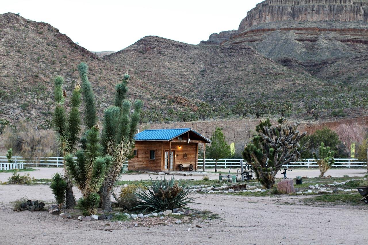 Grand Canyon Western Ranch - Accommodation Dallas 44