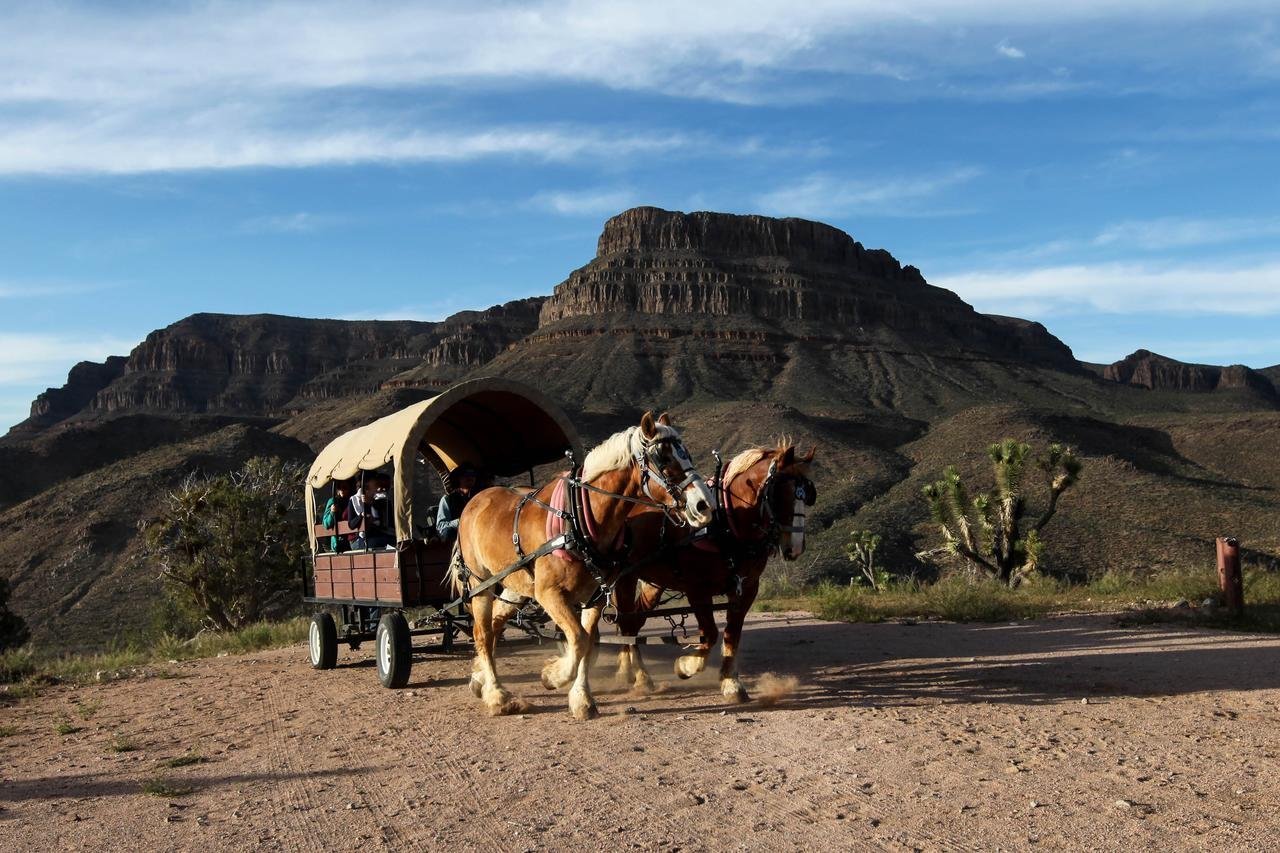 Grand Canyon Western Ranch - thumb 13