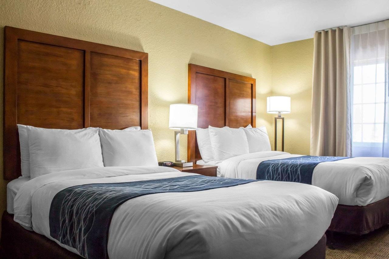 Comfort Inn & Suites North Glendale - Bell Road - Accommodation Dallas 25