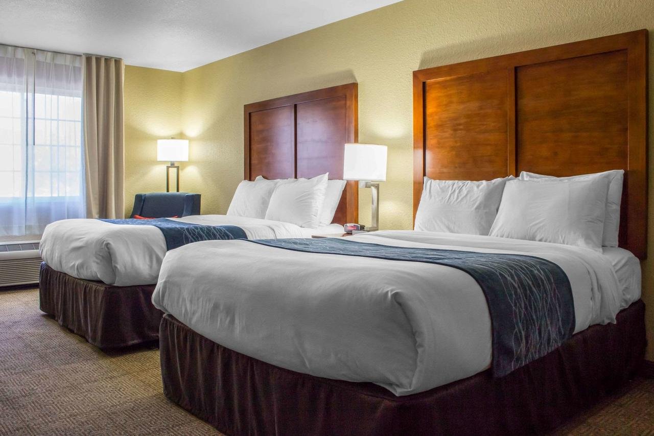 Comfort Inn & Suites North Glendale - Bell Road - Accommodation Dallas 28