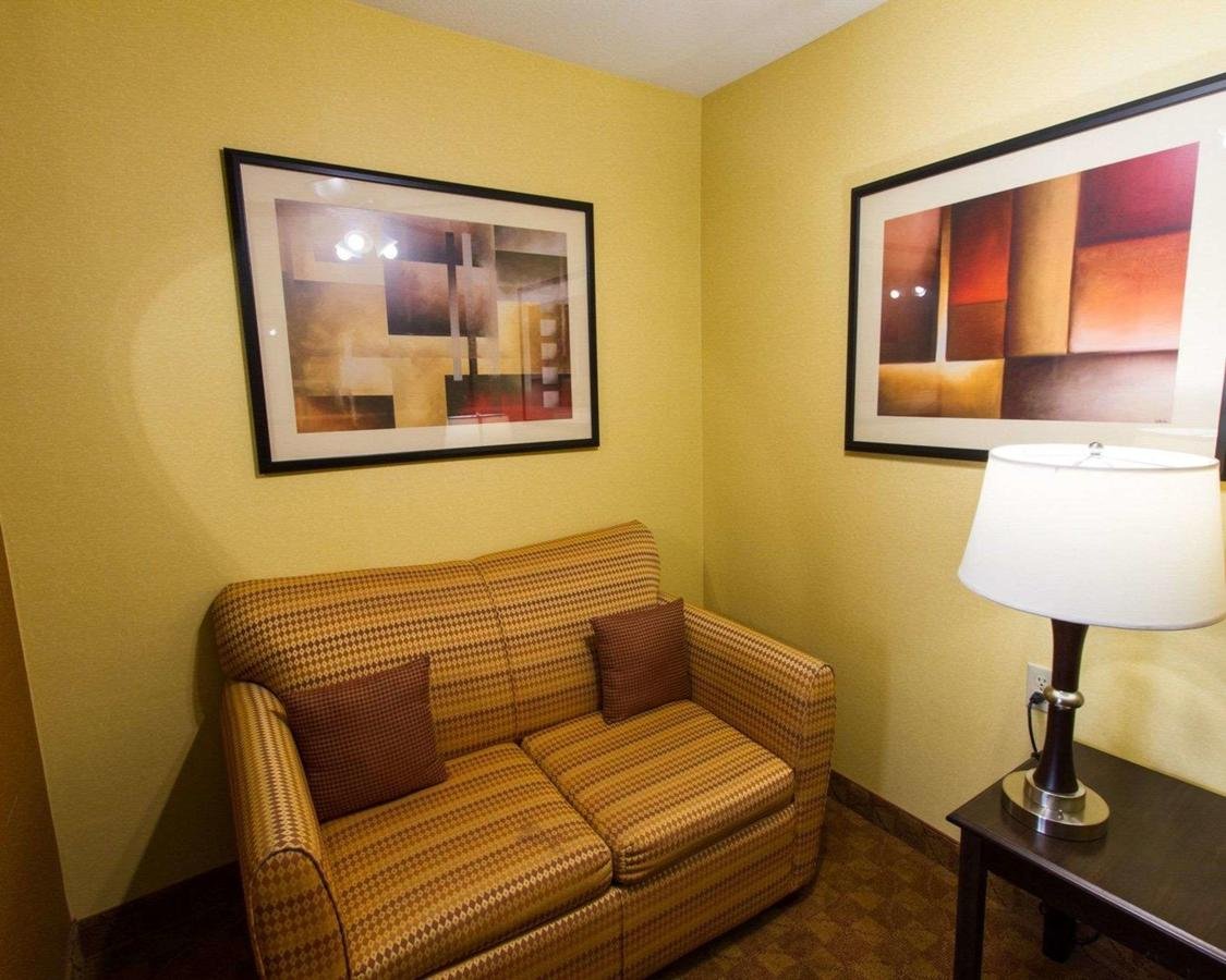 Comfort Suites Phoenix Airport - Accommodation Dallas 5