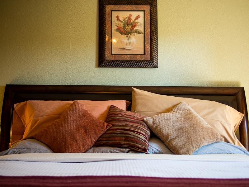 Cozy Cactus Bed And Breakfast - Accommodation Dallas 16