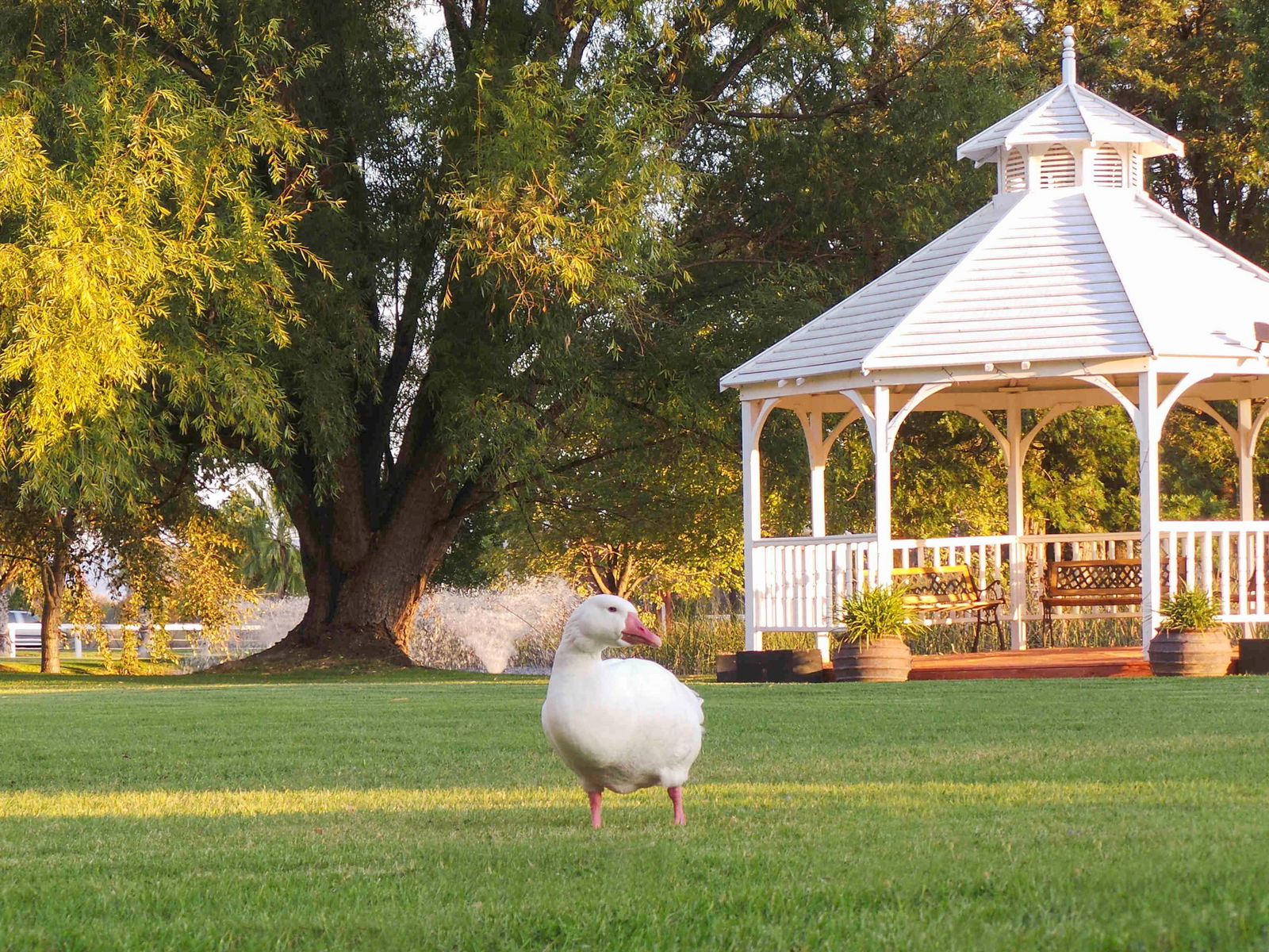 Parklands Resort & Conference Ctr - thumb 1