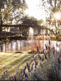 Hunter Valley Resort - Sydney Tourism