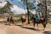 Country Club Tasmania - Accommodation Search
