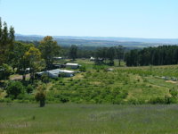 Taralee Orchards - Accommodation Bookings