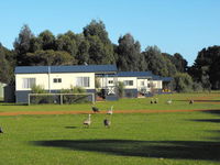 Western KI Caravan Park  Wildlife Reserve - Accommodation BNB