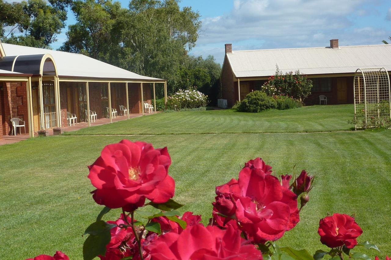 Book Coonawarra Accommodation Vacations  Tourism Noosa