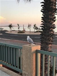 Shark Bay Seafront Apartments - Accommodation Airlie Beach