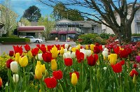 Book Leura Accommodation Vacations  QLD Tourism