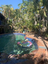 Frogs-Hollow Backpackers - Broome Tourism