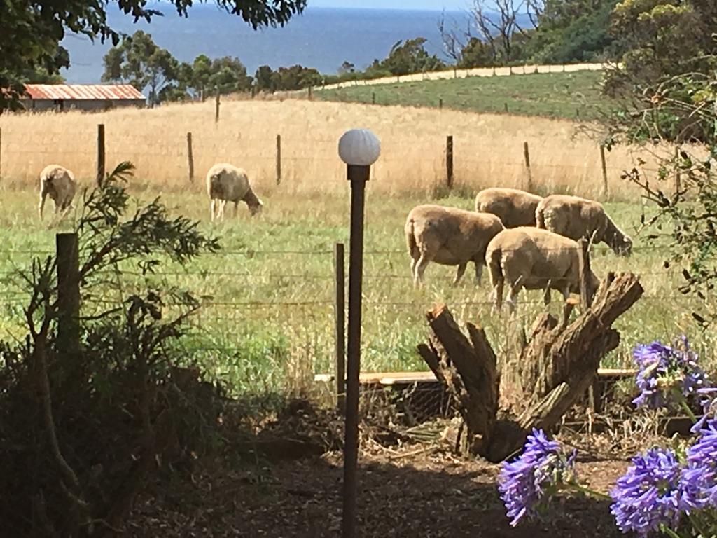 Table Cape TAS Accommodation Burleigh