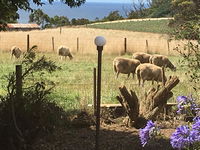 Cape View B and B - Accommodation BNB