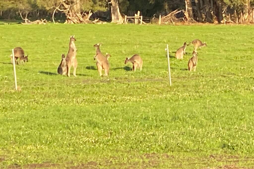 Carbunup River WA Accommodation BNB