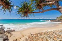 Book Coolum Accommodation Vacations ACT Tourism ACT Tourism