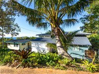 Cylinder Palms - Accommodation Sunshine Coast