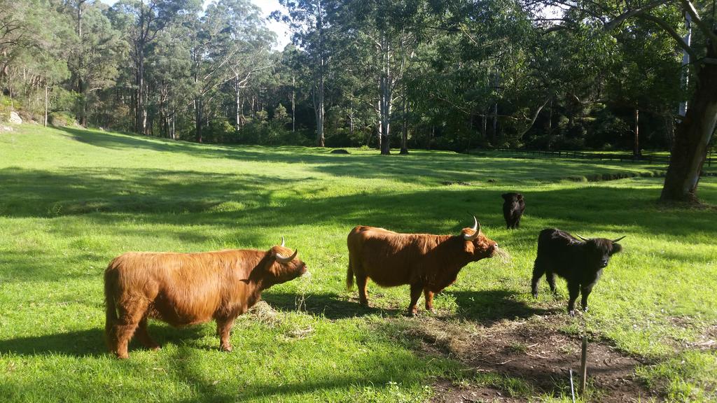 Kenthurst NSW Tourism Caloundra